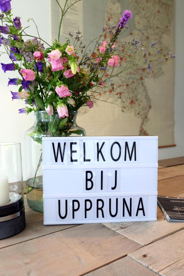 Slapen Bij Uppruna Chaam Eksteriør billede